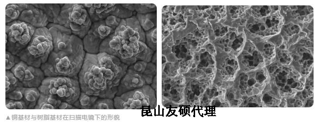 防城港蔡司防城港扫描电镜