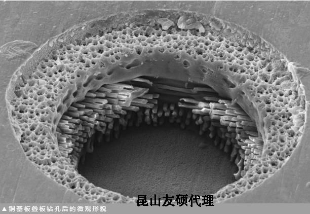 防城港蔡司防城港扫描电镜